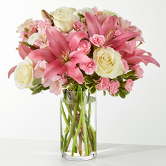 Collection image for: Remerciements