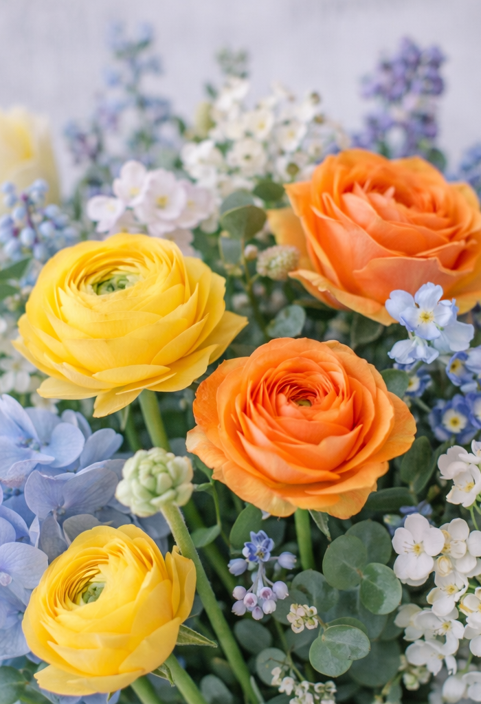 <h1>Vous avez des questions</h1>