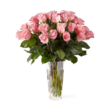 Bouquet de roses roses à longues tiges