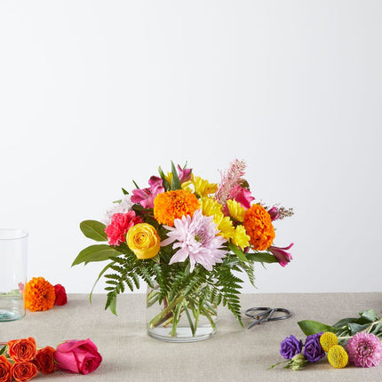 Feast of Colors