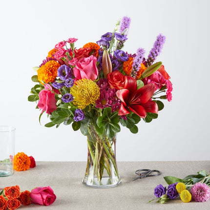 Feast of Colors