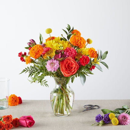Feast of Colors