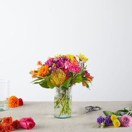 Feast of Colors