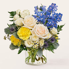 Collection image for: Maternité