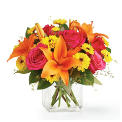 Collection image for: Anniversaire