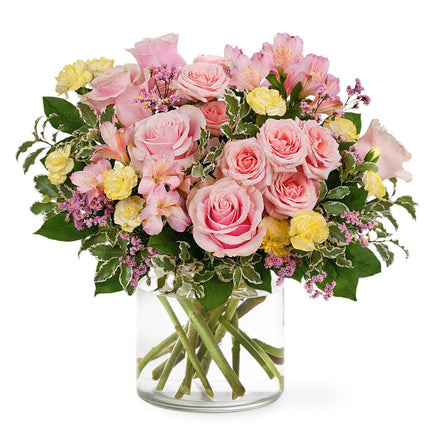 A burst of freshness
