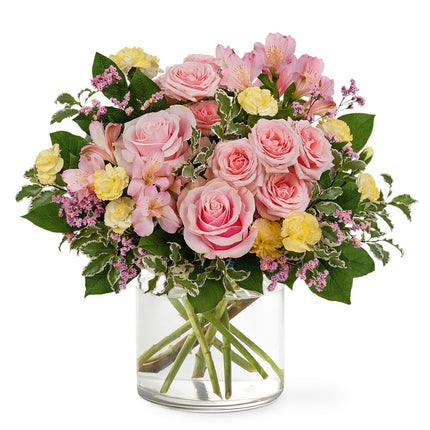 A burst of freshness