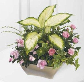 Jardinière Jardin et grâce