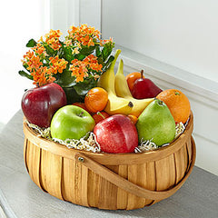 Collection image for: Paniers cadeaux