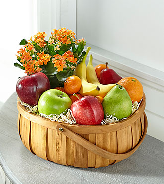 Panier de fruits et plant