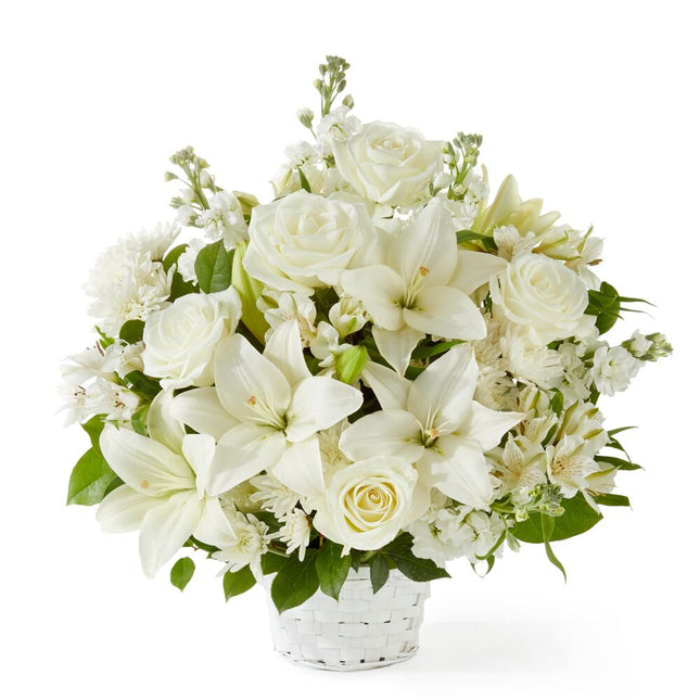 Réflexions paisibles