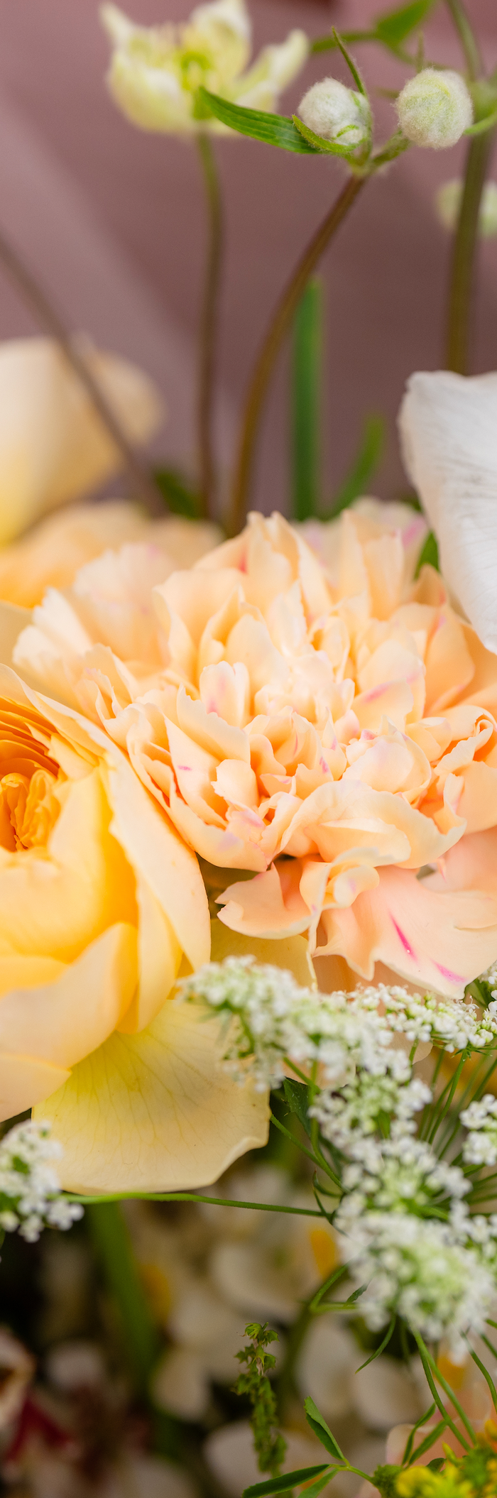 <h1>Trouvez votre bouquet de rêve</h1>