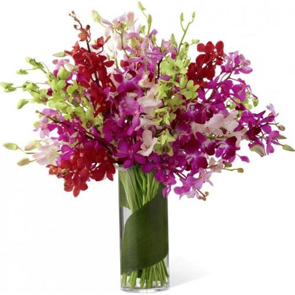 Bouquets d'Orchidées Luxueux et Lumineux