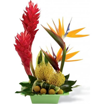 The FTD® Arrangement, Exotica™