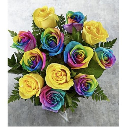 Time to celebrate, rainbow rose bouquet (no vase)