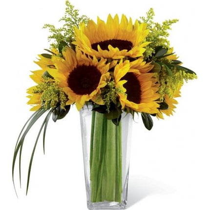 Le Bouquet FTD, Reve Ensoleillé de jour