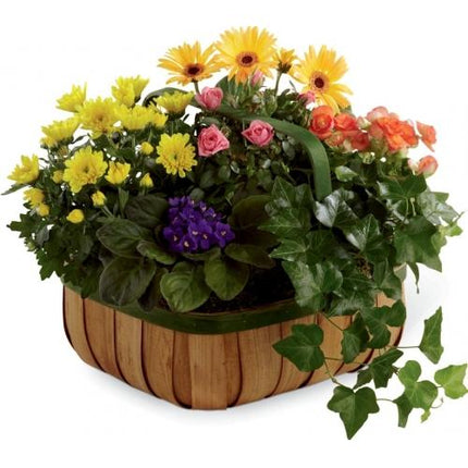 Le Panier FTD®, Douces Fleurs™
