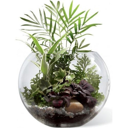 The FTD® Woodland Greenery™ Terrarium