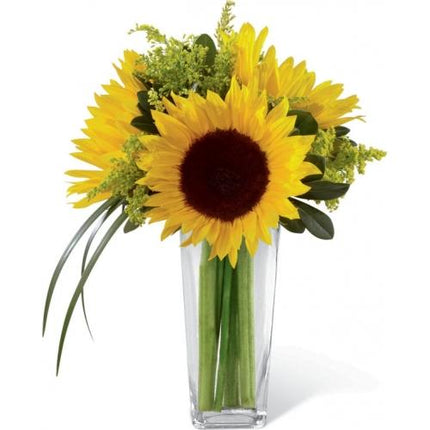 Le Bouquet FTD, Reve Ensoleillé de jour