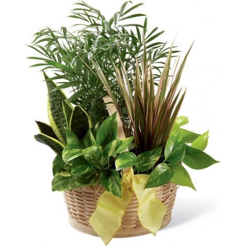 Le Jardin Français™ de FTD®