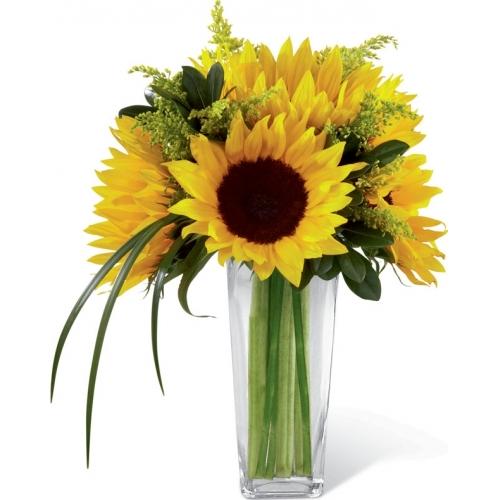 Le Bouquet FTD, Reve Ensoleillé de jour