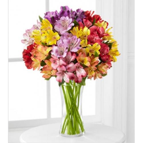 Bouquet de lys péruviens Découverte arc-en-ciel